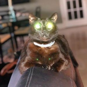 Meet your Posher, Andrew